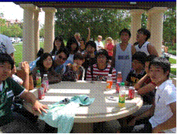 slide0006_image045 - 副本.gif