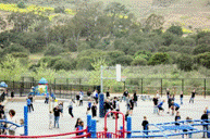 slide0007_image054 - 副本.gif