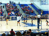 slide0007_image058 - 副本.gif