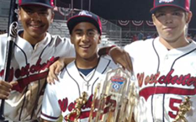 slide0008_image069 - 副本.png