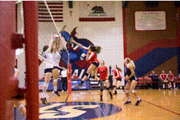 slide0008_image048.gif
