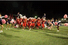 slide0008_image052.gif