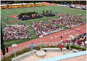 slide0009_image069.gif