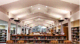 slide0011_image089.gif