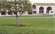 slide0012_image105.gif