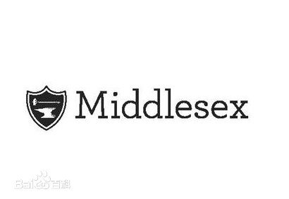 米德尔塞克斯中学